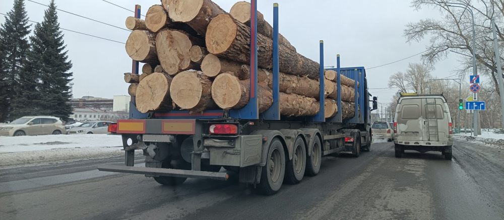 Поиск транспорта для перевозки леса, бревен и кругляка стоимость услуг и где заказать - Воронеж