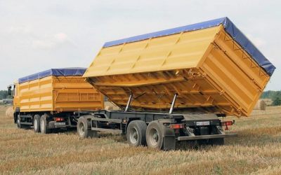 Услуги зерновозов для перевозки зерна - Воронеж, цены, предложения специалистов